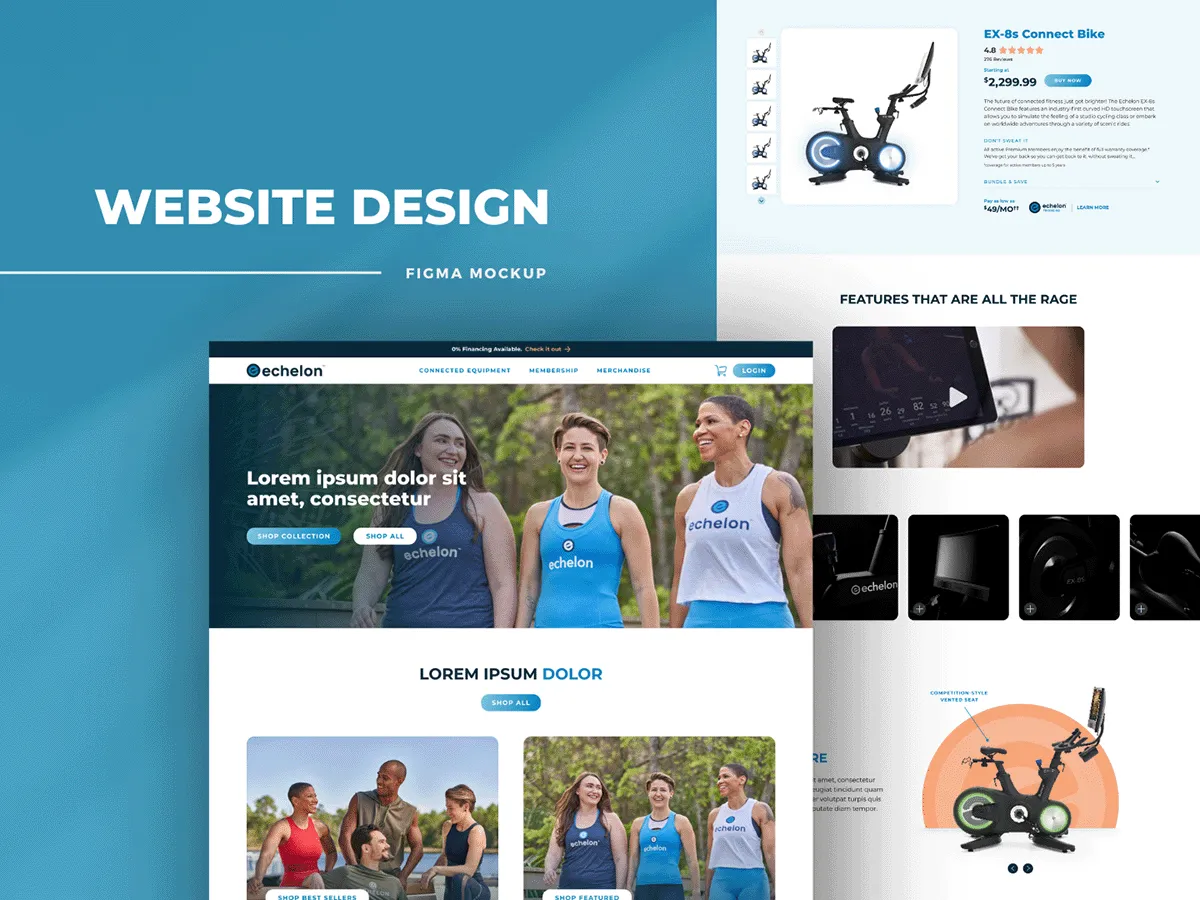 Web Design & Development